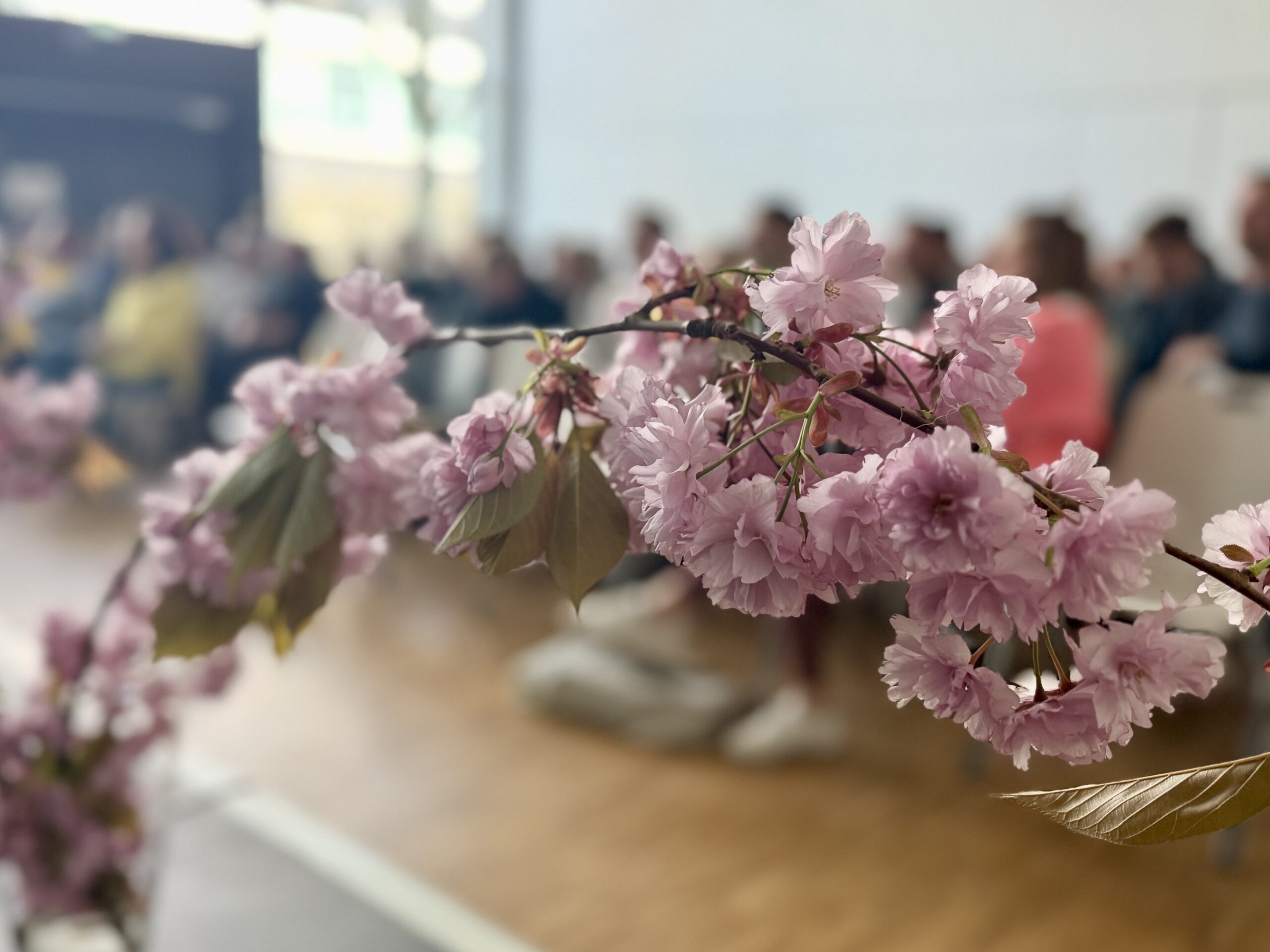 SET_Blumen